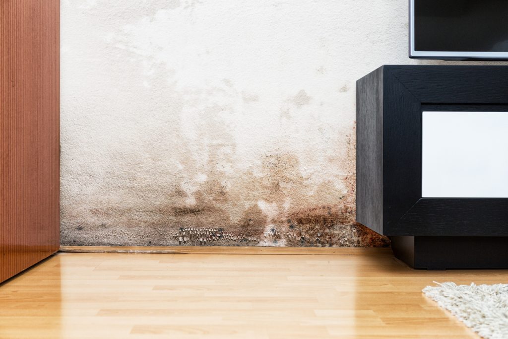 Water Damage Services